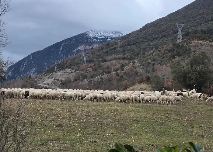 Kır Evi Casa Montenegro Colladas Las Colladas